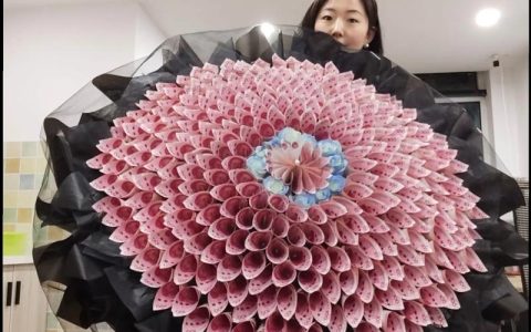 鲜切花价格多少钱？2025年市场费用参考区间与五大影响因素详解