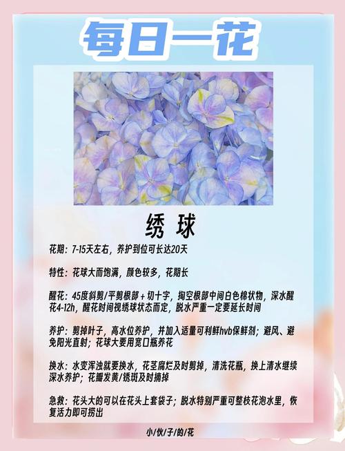 二、光照和水肥怎么给，才能按时开花