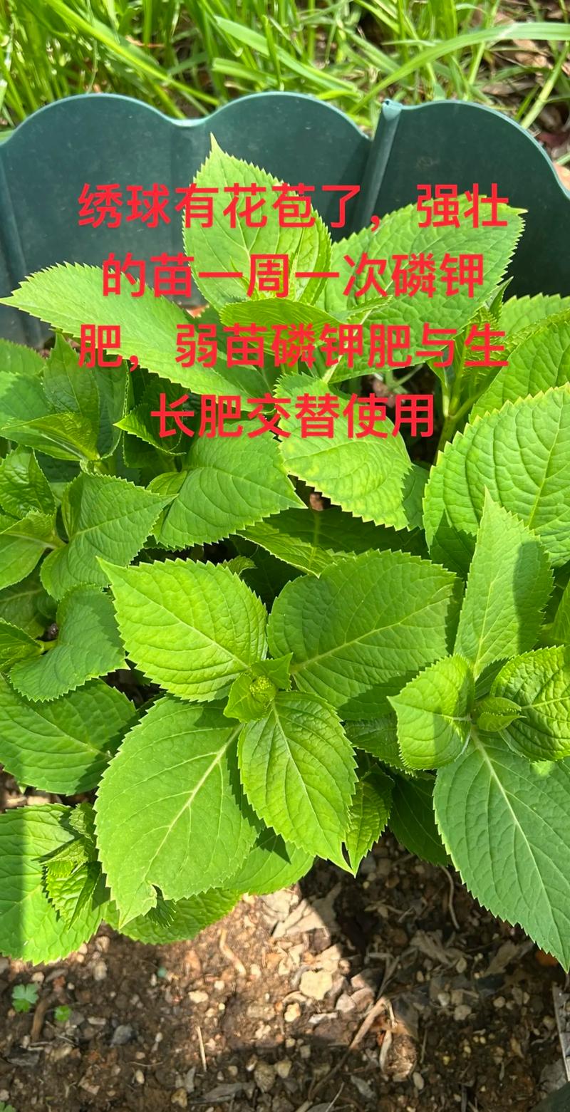 五、不同地区怎么过夏、怎么过冬