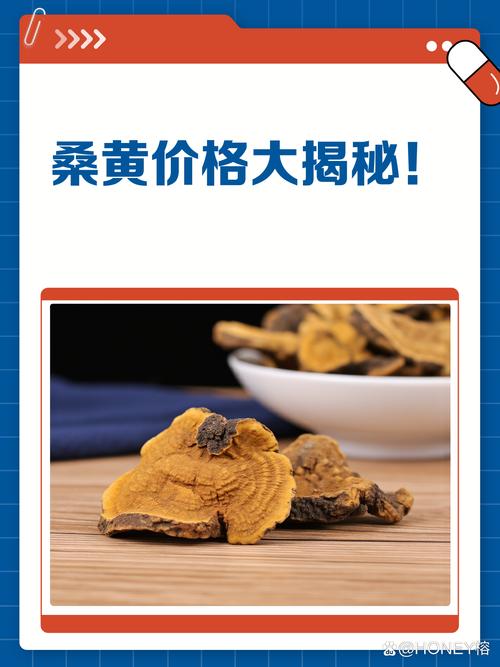 桑黄菌种多少钱一斤?2026年价格参考区间 价格影响因素汇总表(2026年参考)