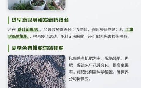 葡萄树冬天需要施肥吗？——葡萄冬季养护六大要点
