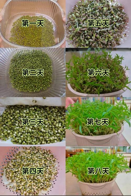 常见误区与科学事实