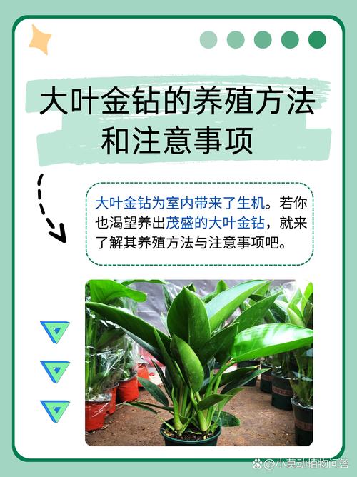 未来展望：生物采矿是否可行？