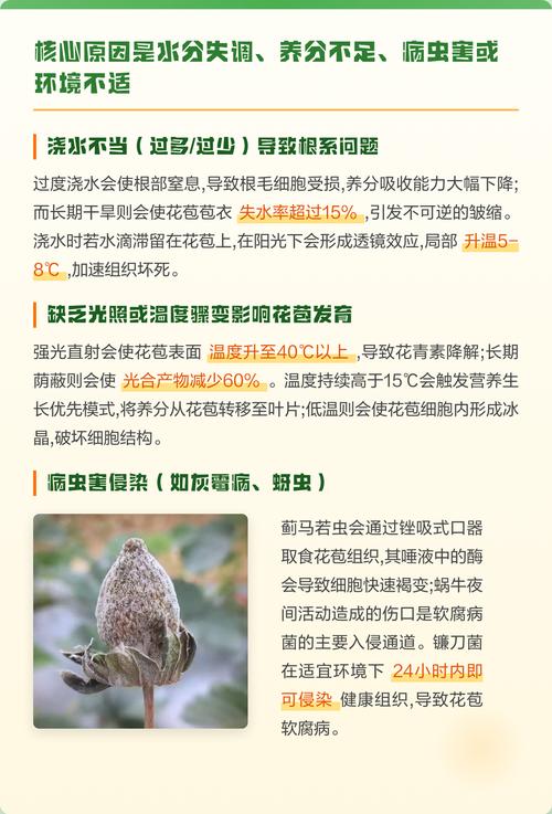 花苞未开先落?一文讲清掉花苞的四大原因与解决办法 二、分步排查清单