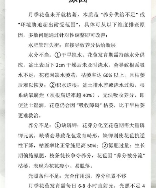 花苞未开先落？一文讲清掉花苞的四大原因与解决办法