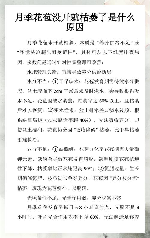 花苞未开先落?一文讲清掉花苞的四大原因与解决办法 一、常见原因列表