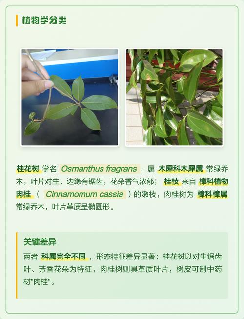 四、如何正确区分？