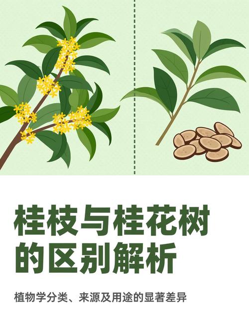 五、园艺小贴士