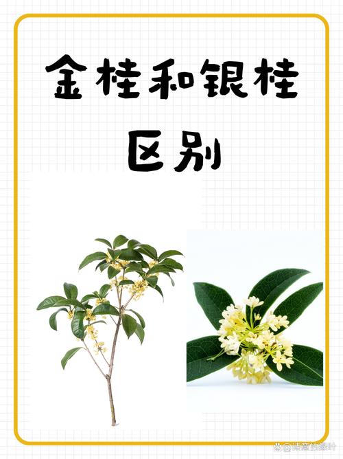 结语