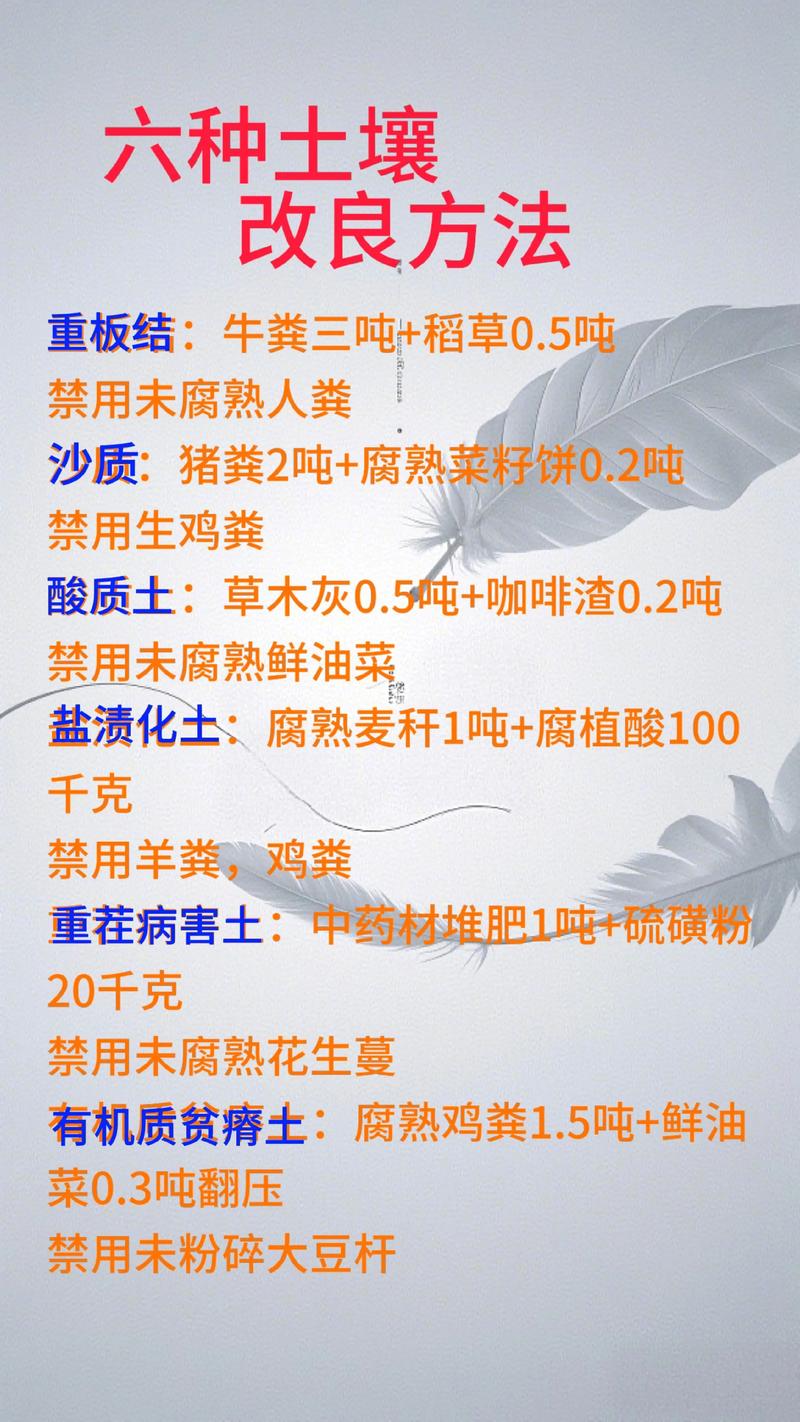 改良土壤最有效最简单的方法:家庭园艺实战指南 改良土壤最有效最简单的方法:家庭园艺实战指南