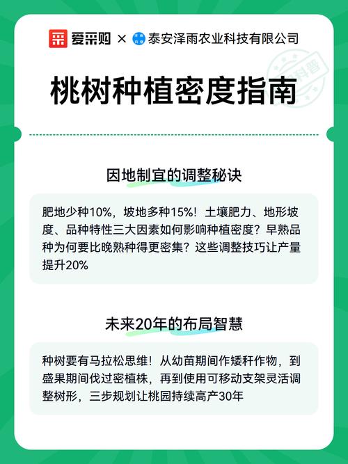 桃树亩种多少棵?栽植密度与品种选择全攻略 不同桃树品种的推荐密度与产量预期