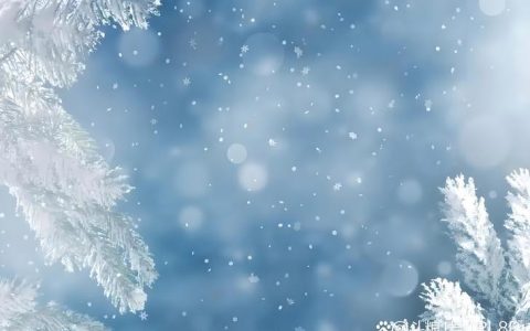 雪花从灰色的天空中飘落下来：一座冬季花园的静默诗篇