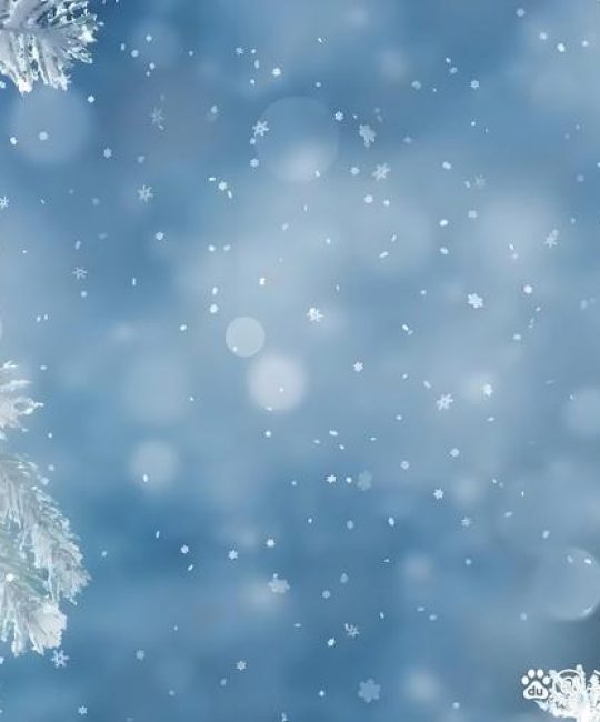 雪花从灰色的天空中飘落下来：一座冬季花园的静默诗篇