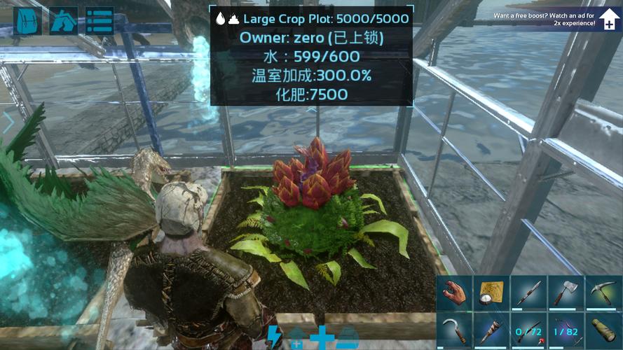 如何高效种植玉米种子