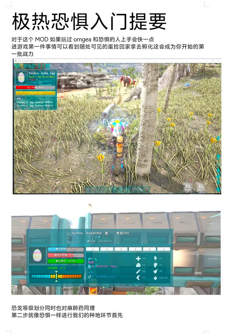 玉米种子的主要用途