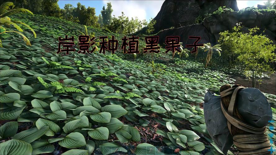 总结