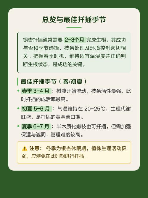 四、扦插深度：不宜过深，谨防腐烂