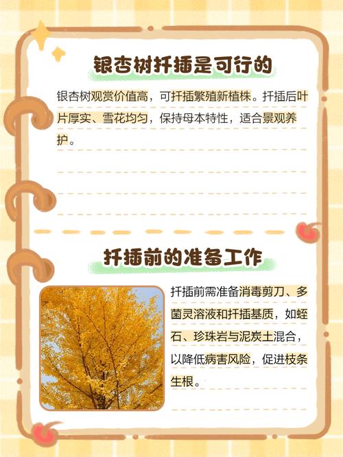七、成活注意事项：移栽与后续管理