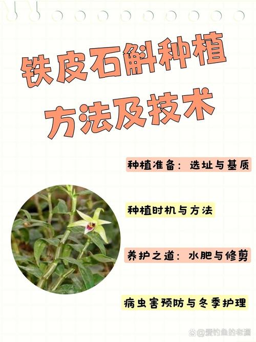 二、植料环境（土壤环境替代）