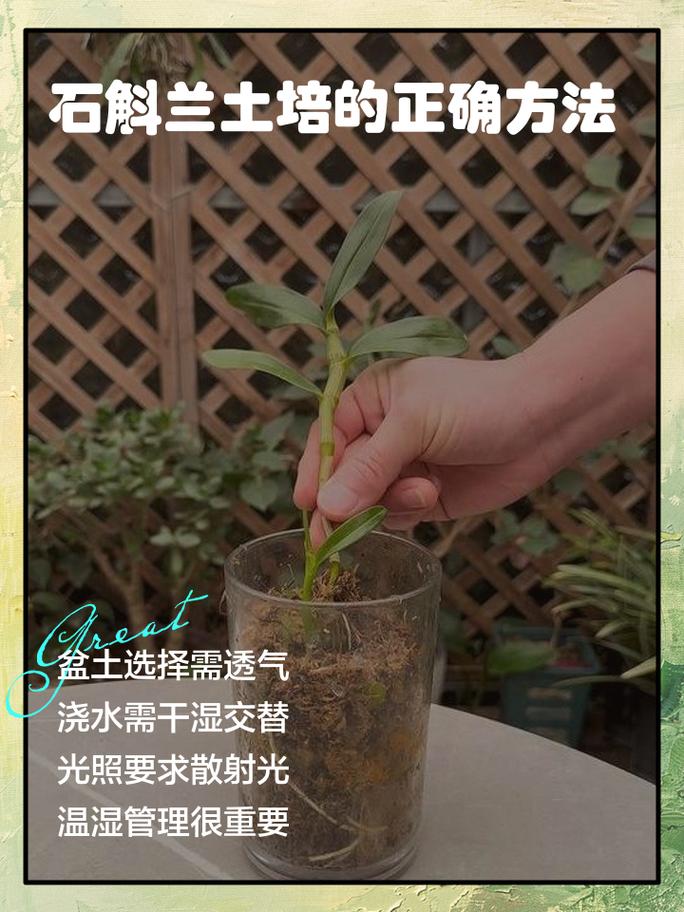 七、成活注意事项