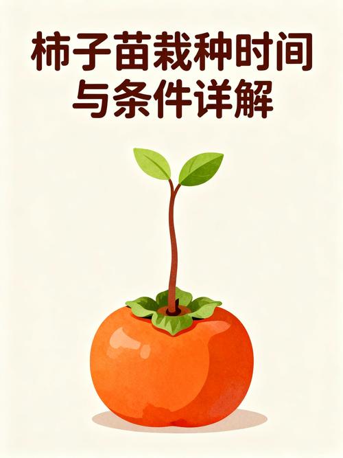 柿子苗什么时候种植?最佳时间与完整操作指南 四、栽植深度:根茎结合部与地面平齐