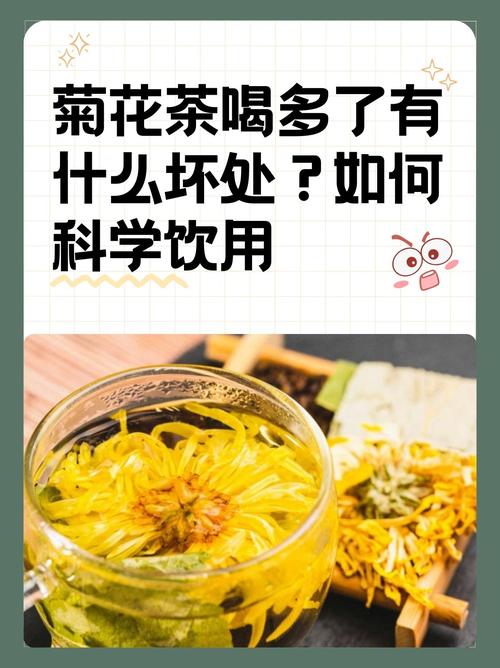菊花喝多了会怎么样?从园艺角度解析菊花养护与安全饮用 盆栽/地栽选择决策