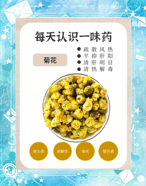 菊花喝多了会怎么样?从园艺角度解析菊花养护与安全饮用 越冬与越夏管理