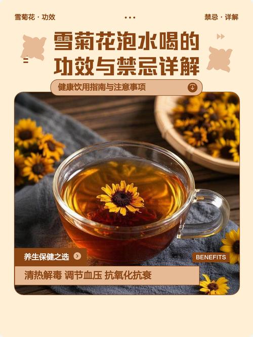 菊花喝多了会怎么样?从园艺角度解析菊花养护与安全饮用 FAQ