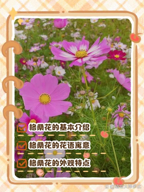 四、适种区域表格（四川省内）