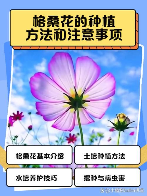 三、土壤适应性及改良方案