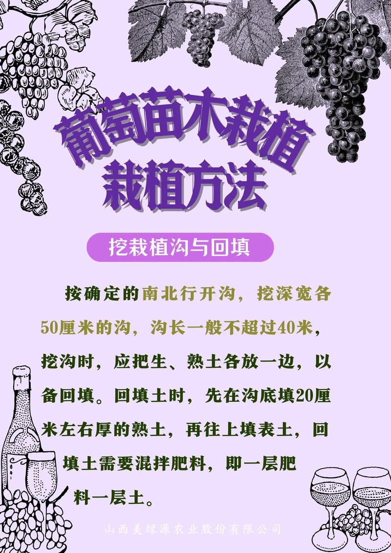 越冬越夏：极端天气的防护