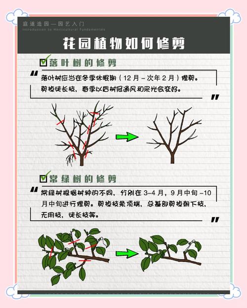 行道树与庭院乔木选购移栽全指南:树形、遮荫、规格、支撑修剪 FAQ