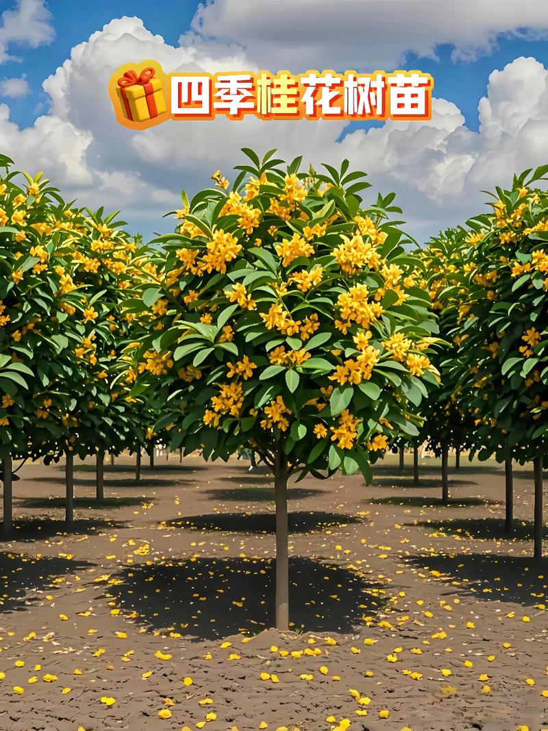 运输：长途运费占10%-30%