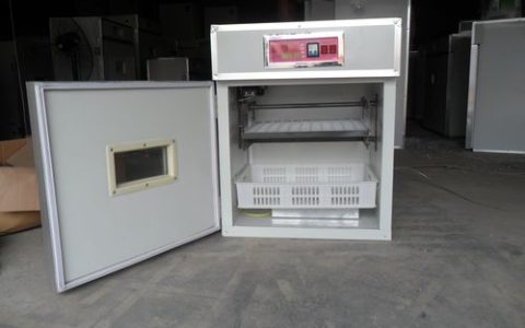 鸭苗孵化设备多少钱一台？2024年价格区间与影响因素详解