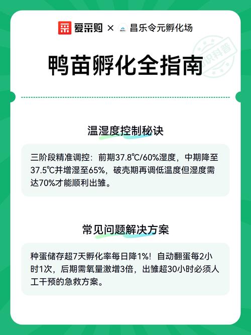 鸭苗孵化设备多少钱一台?2024年价格区间与影响因素详解 运输因素:体积重量影响物流成本