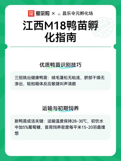 鸭苗孵化设备多少钱一台?2024年价格区间与影响因素详解 价格影响因素总览表