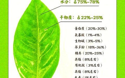 古树普洱茶对人体有什么好处？从食用、药用与安全性全面科普