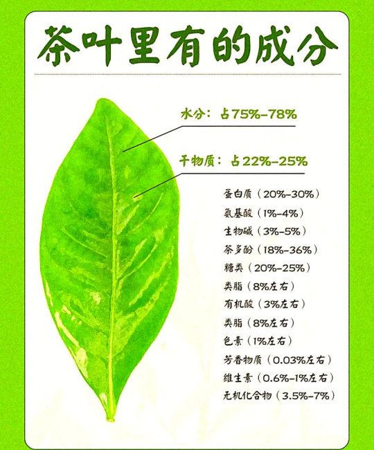 古树普洱茶对人体有什么好处？从食用、药用与安全性全面科普