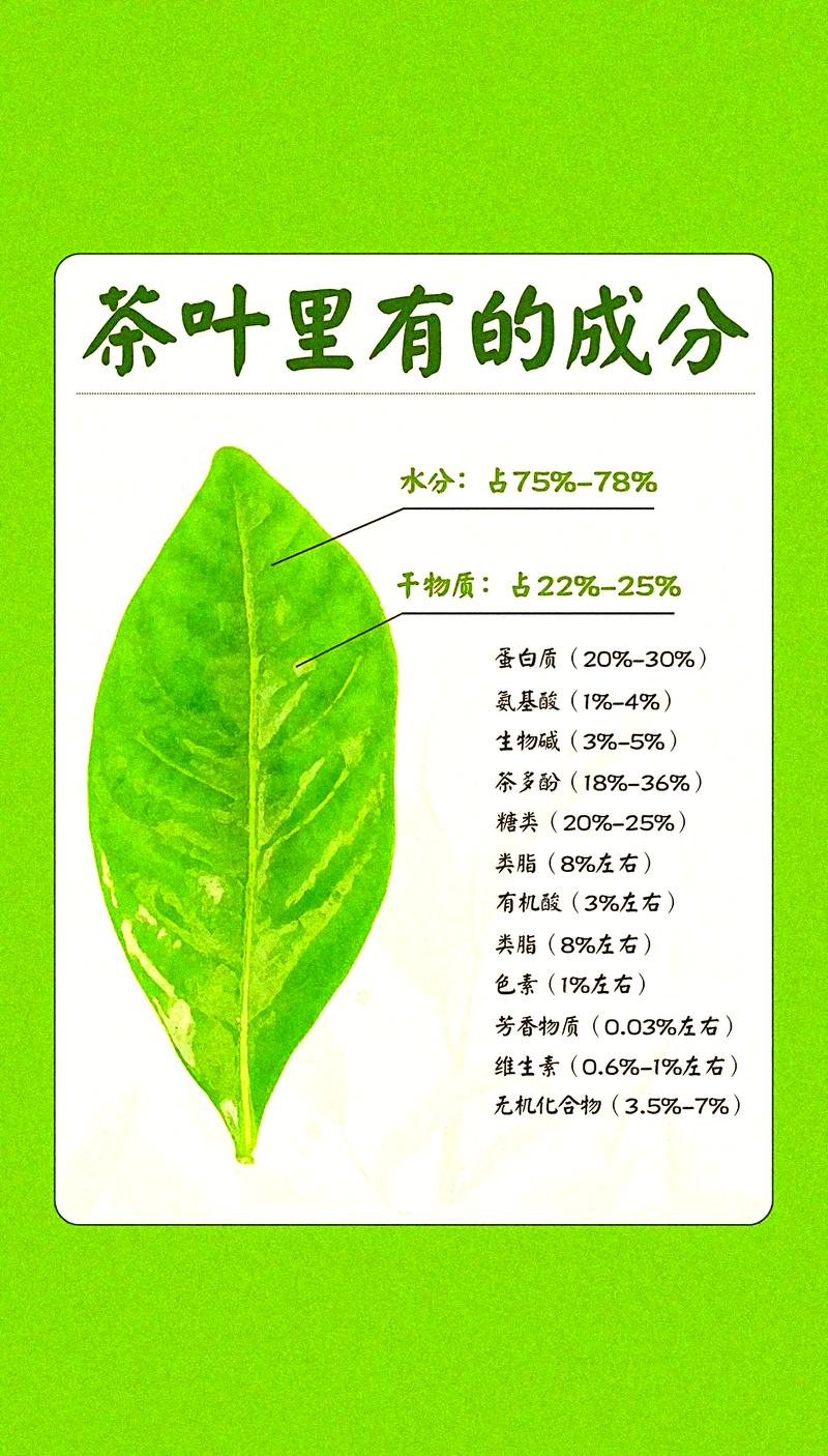 古树普洱茶对人体有什么好处?从食用、药用与安全性全面科普 一、食用常识:古树普洱茶怎么喝才安全?