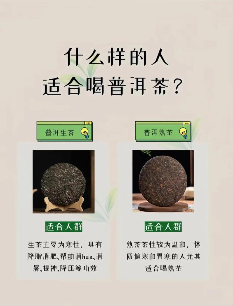 古树普洱茶对人体有什么好处?从食用、药用与安全性全面科普 四、常见误区澄清