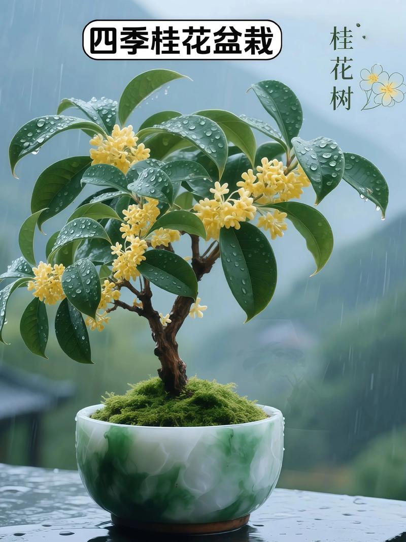 桂花象征什么?——庭院盆栽园艺设计师带你科学解读桂花种植与文化寓意 结语