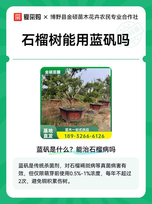 蓝矾对果树有什么作用?科学使用浓度与药害预防指南 蓝矾药害预防必须抓住幼果期和高温干旱期两个关键节点