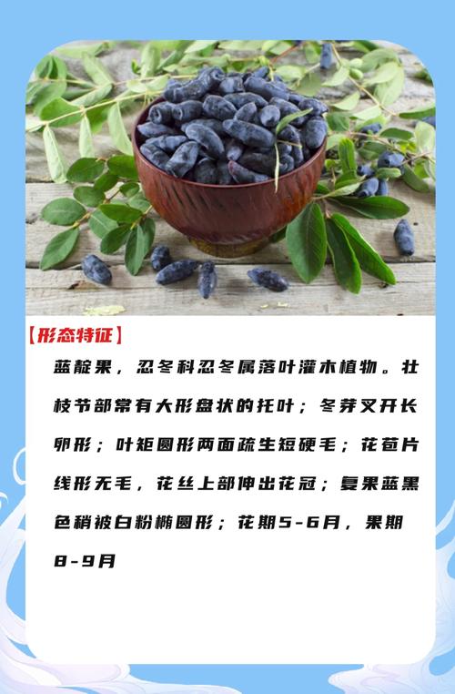 蓝矾对果树有什么作用?科学使用浓度与药害预防指南 波尔多液配制必须使用生石灰并现配现用,贮存超24小时即失效
