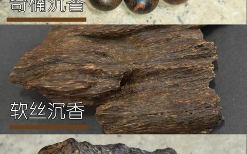 沉香与金丝楠木哪个贵？从园艺价值到市场行情深度解析