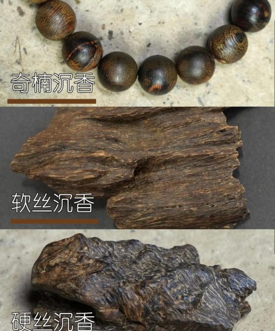 沉香与金丝楠木哪个贵？从园艺价值到市场行情深度解析