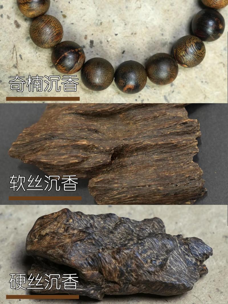 沉香与金丝楠木哪个贵?从园艺价值到市场行情深度解析 沉香与金丝楠木哪个贵?从园艺价值到市场行情深度解析