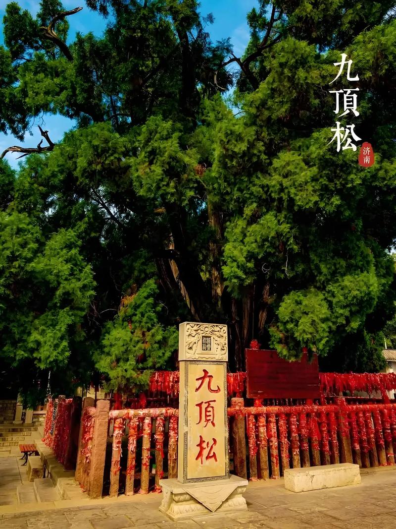 可能藏身之处：来自园艺与地理的推断