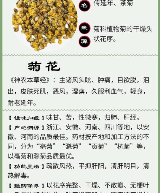 菊花有什么作用和用途？一文看懂食用、药用与观赏价值