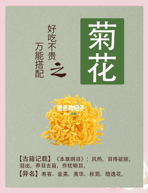 菊花有什么作用和用途?一文看懂食用、药用与观赏价值 常见误区澄清
