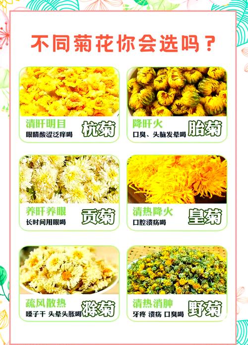 菊花有什么作用和用途?一文看懂食用、药用与观赏价值 总结